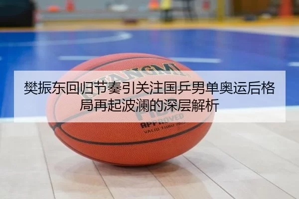樊振东回归节奏引关注国乒男单奥运后格局再起波澜的深层解析